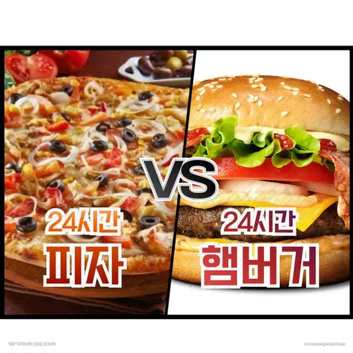 Daughter_Mini12의 피자  vs  햄버거