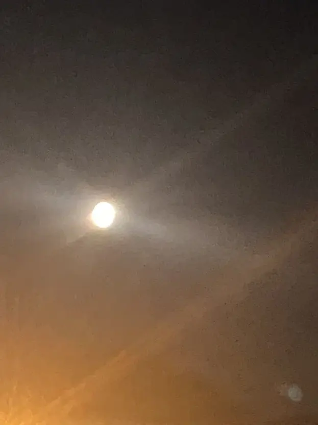 mini_1207의 🩵💛