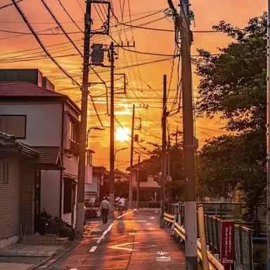 Profile image of 코마