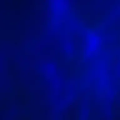 Profile image of Darnell