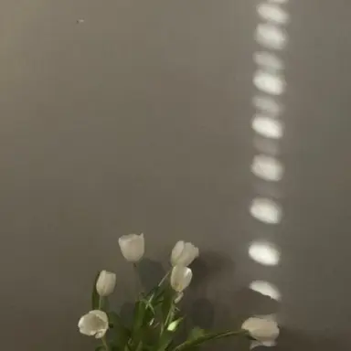 Profile image of 선생님