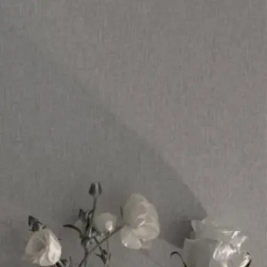 Profile image of 시미베