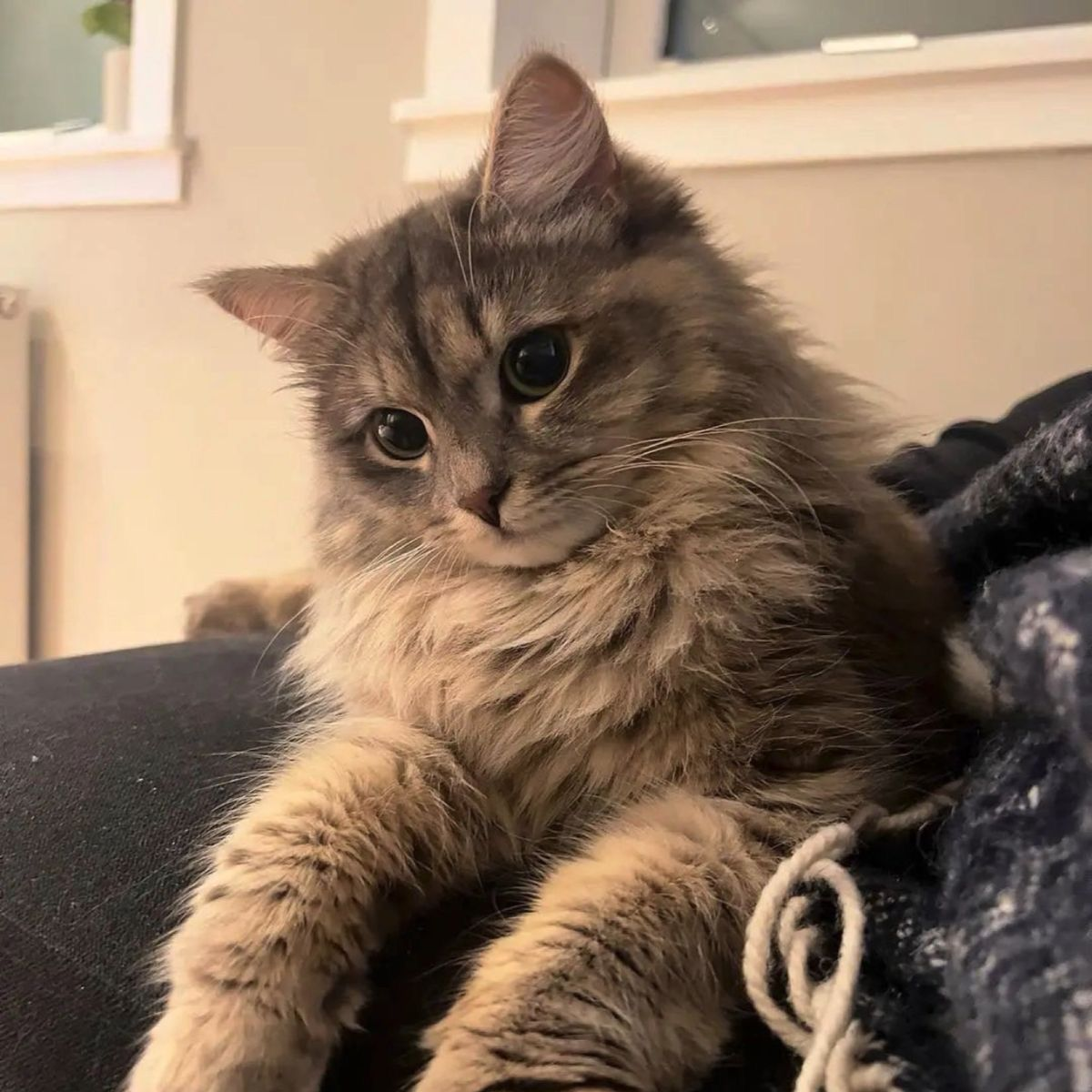 탄 대표 이미지