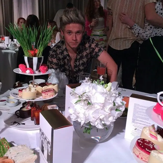 MutedFloss4565의 niall horan