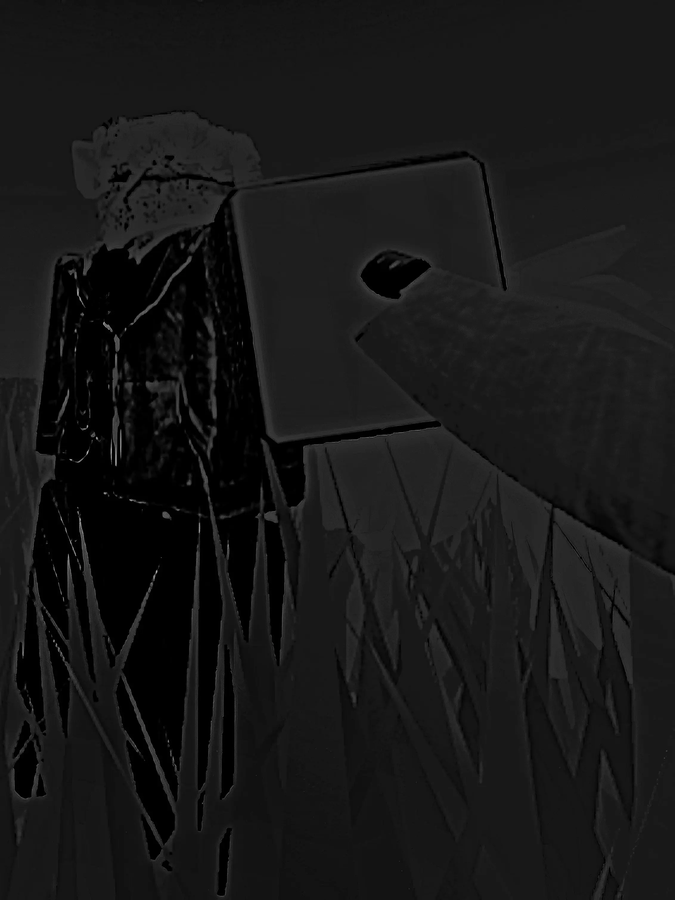 O_AND_P의 Rezep / Kanon