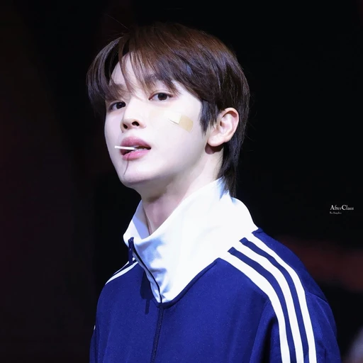 정성찬