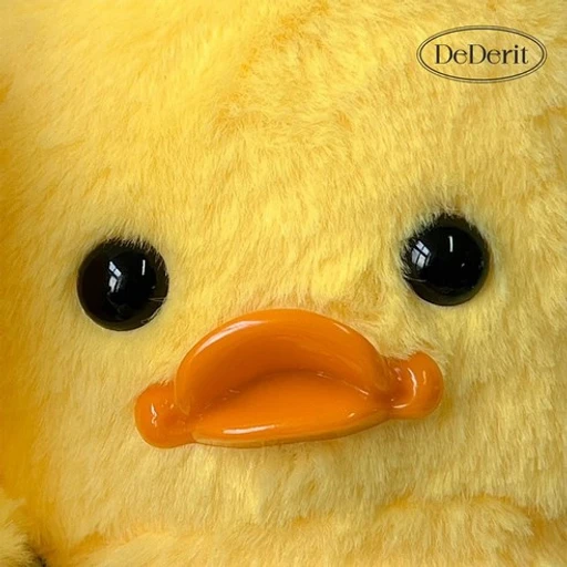 김뚠뚠