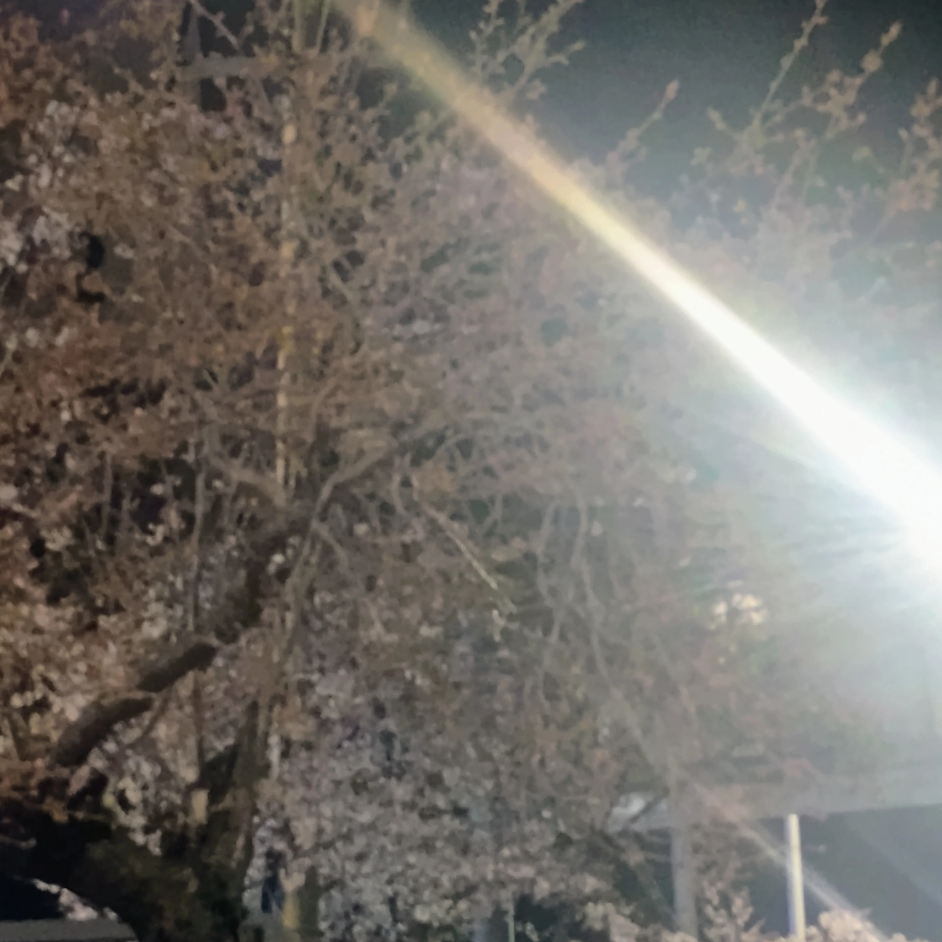 이사기 요이치