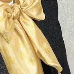 Profile image of Chopin
