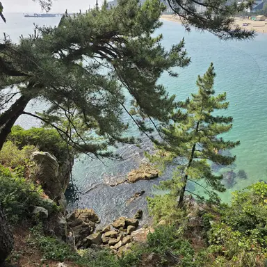 Profile image of 리온