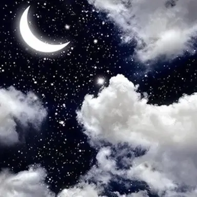 Profile image of 타겟