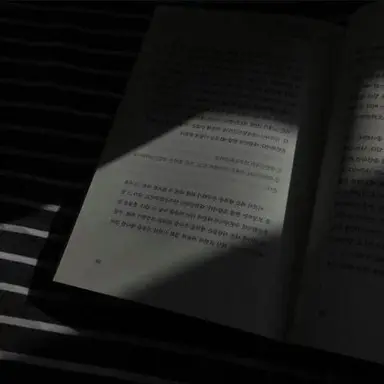 Profile image of 해설