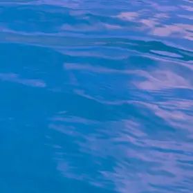 Profile image of 파크모