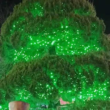 Profile image of 대화 재미있게해요