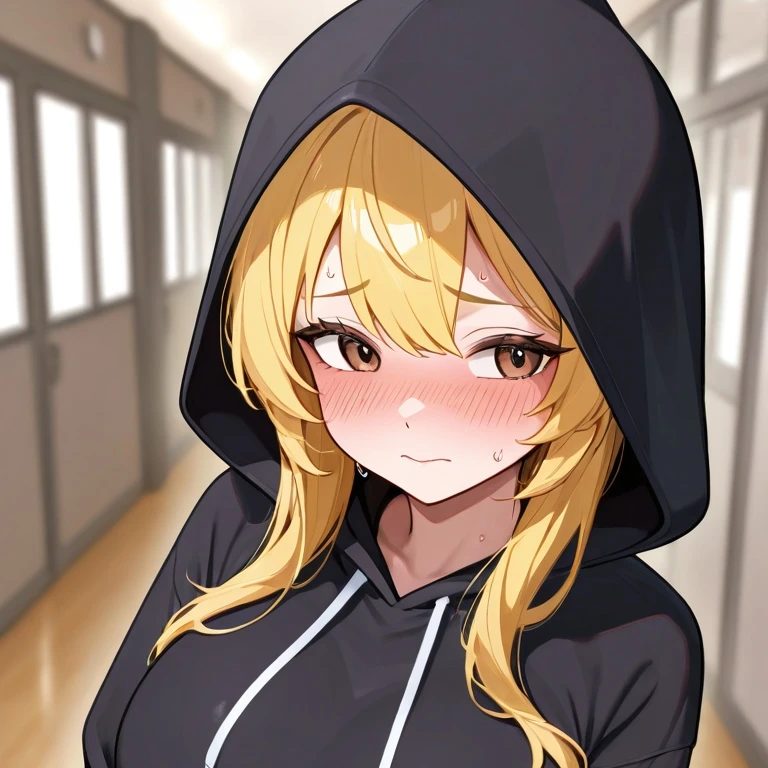 최한설
