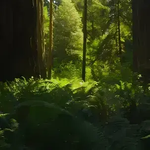 Profile image of Httyd TF141