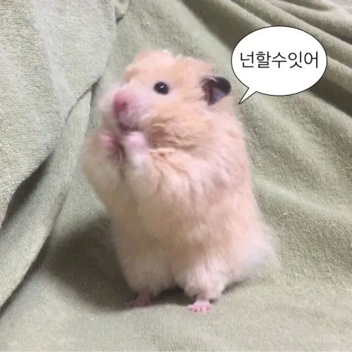 QuickInk3520의 팤