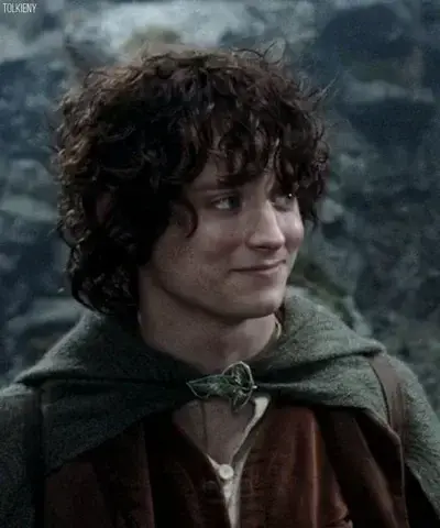 StaleHero5798의 Frodo Baggins