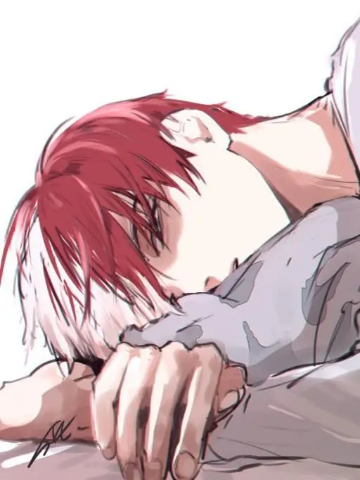 Novachanz의 Shoto Todoroki