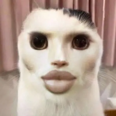 pingu의 nn