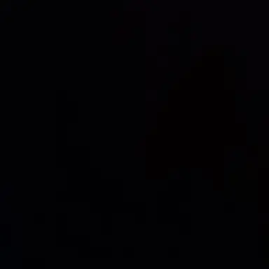 Profile image of 백사헌