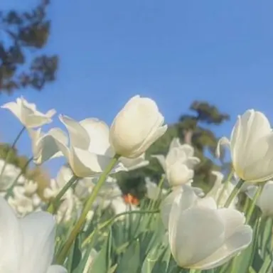 Profile image of 기사