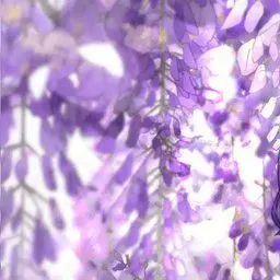 Profile image of ブリ子