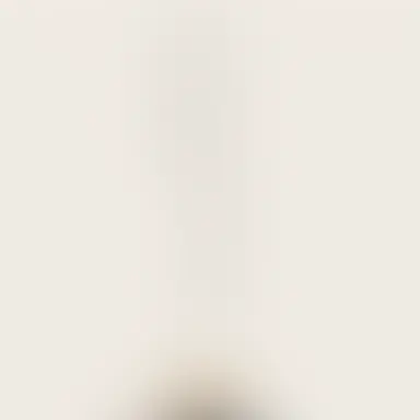 Profile image of 銀