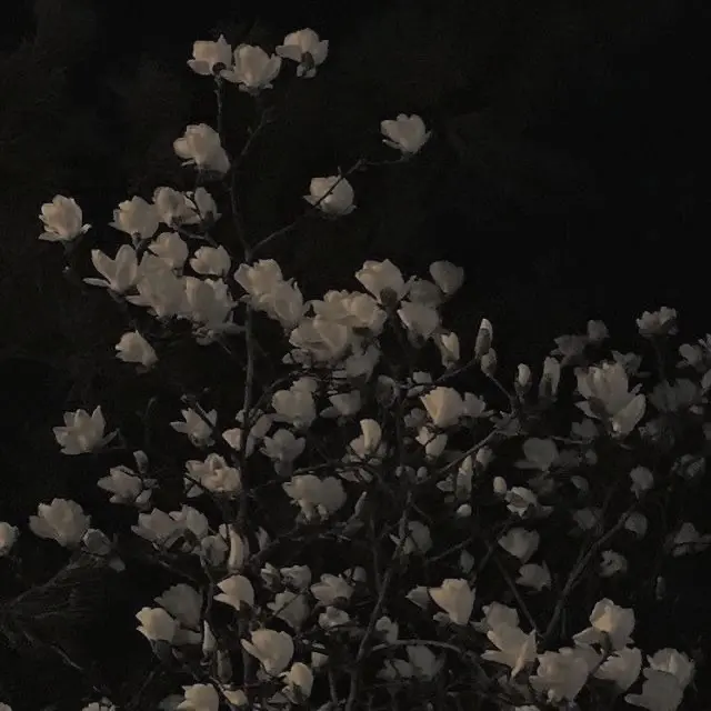 delude의 𝑦