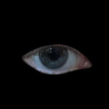 Profile image of Oliver