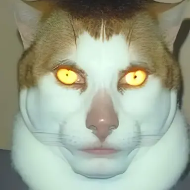 Profile image of 진다진