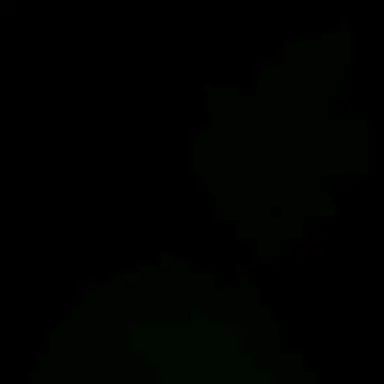 Profile image of 김 동 현