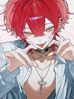 Profile image of 昴