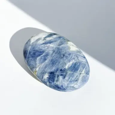 Profile image of 樹