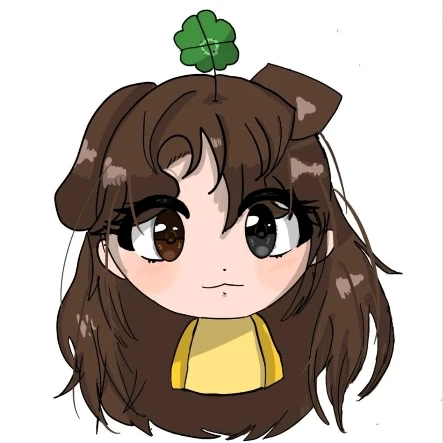 쪼코
