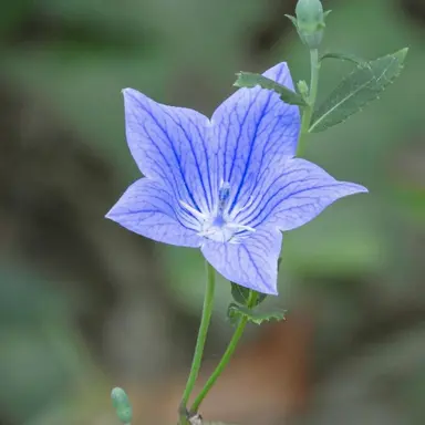 Profile image of 야마다 료스케