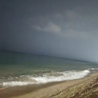 Profile image of 레이트