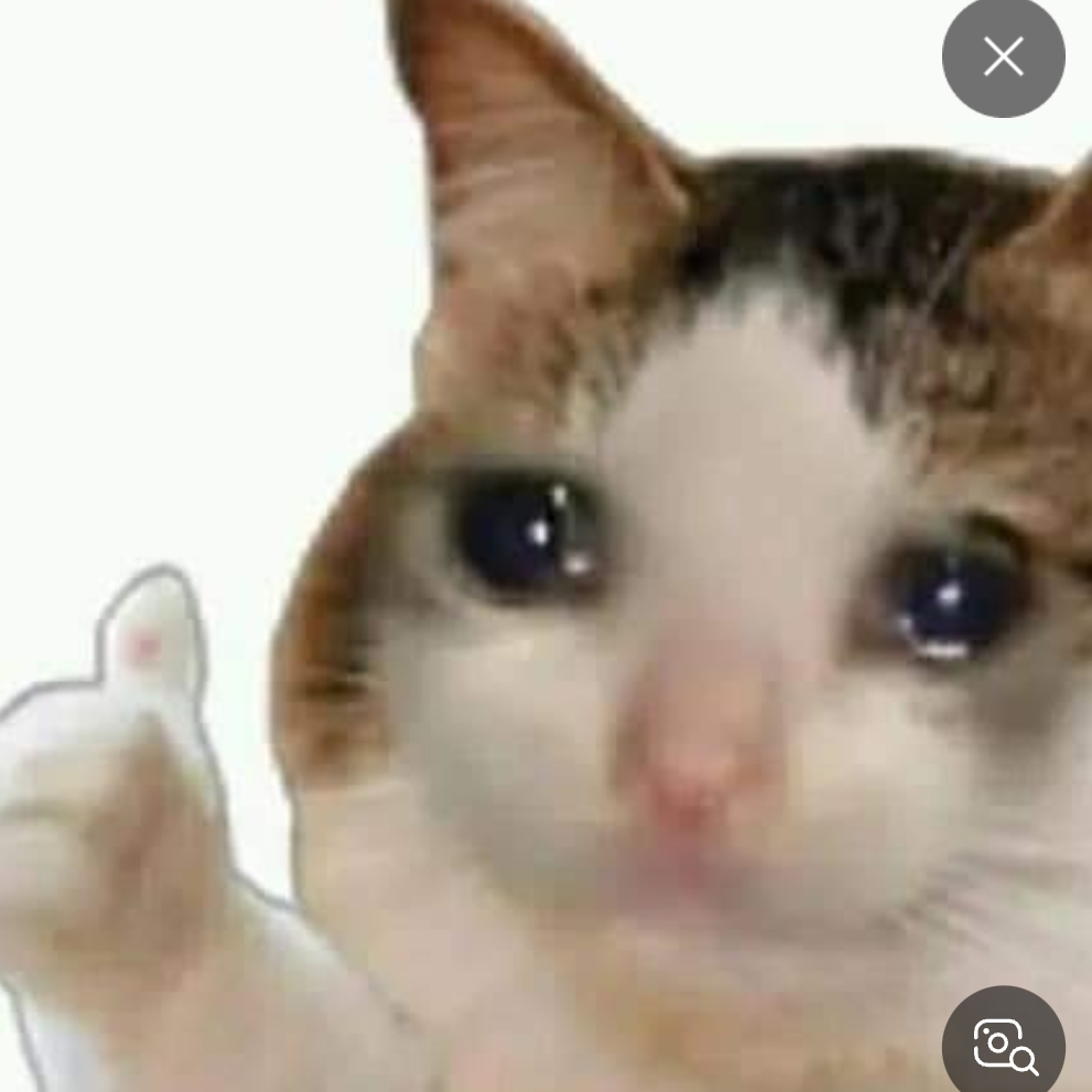 진격의 때걸룩 대표 이미지