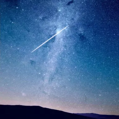 Profile image of 참가자