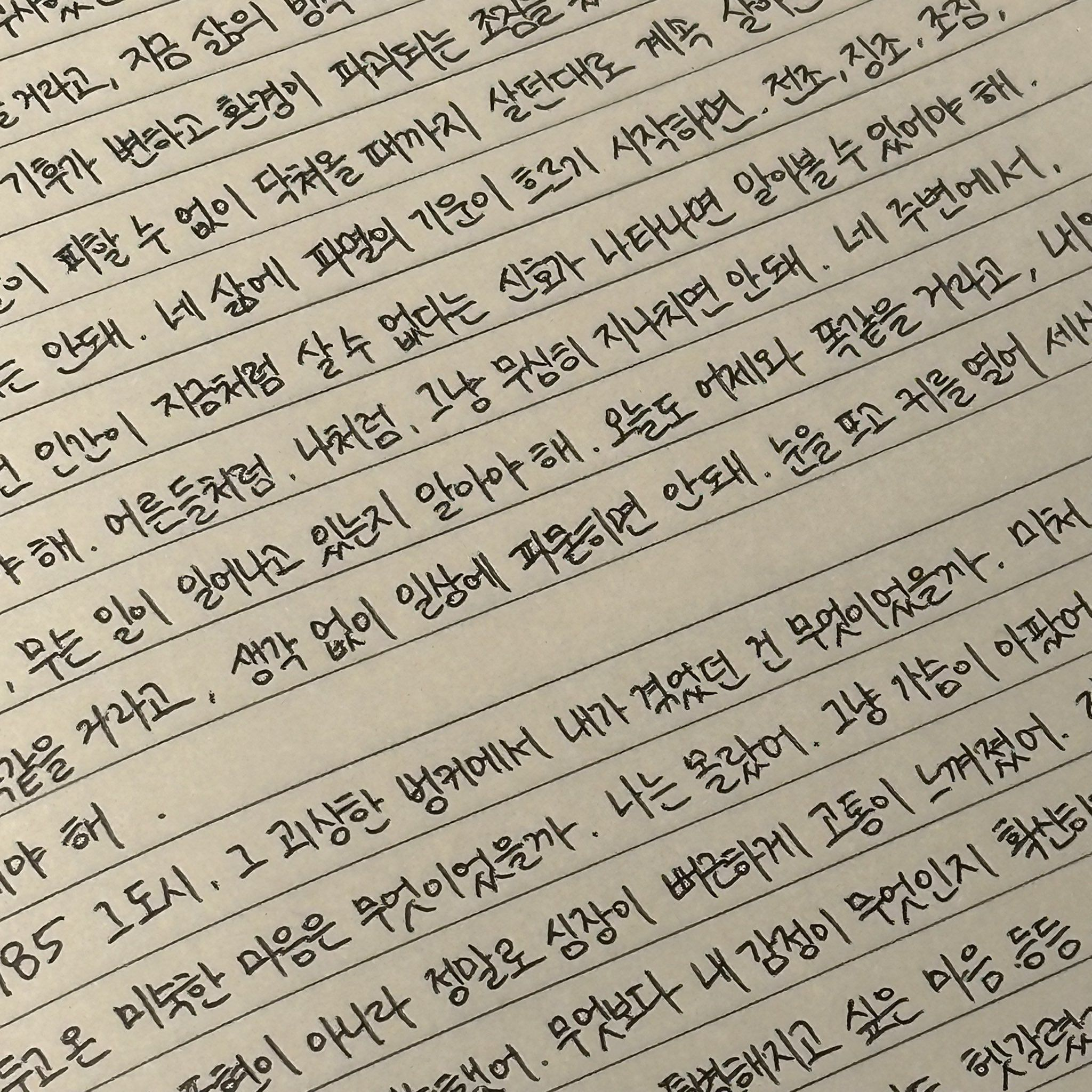 유하람 대표 이미지