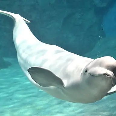 Profile image of 이등변