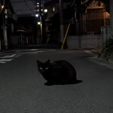 Profile image of 黒猫