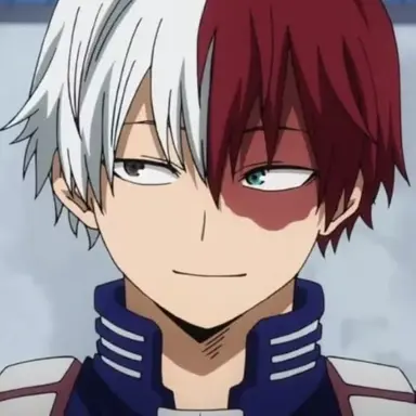 Profile image of Shoto Todoroki