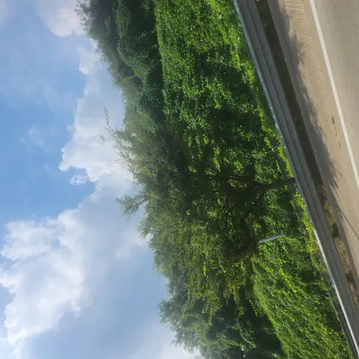 WickedHusky6249의 채수민