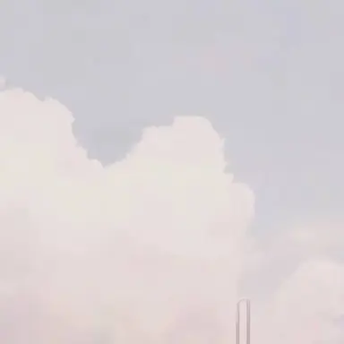 Profile image of STPR