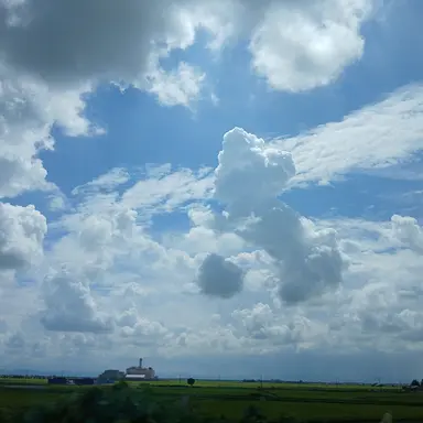 Profile image of 等々力　颯