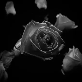 FlimsyWind7929의 '혹시'라는 기대와 '역시'라는 실망