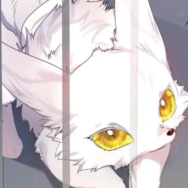 Profile image of 미호