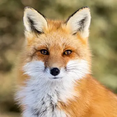 Profile image of 오시연