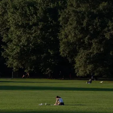 Profile image of 지원